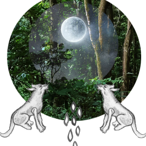 Alquimia Lunar
